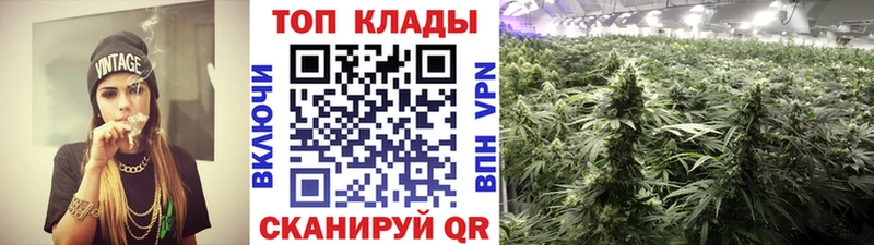 Где можно купить наркотики Стародуб АМФЕТАМИН  ГАШИШ  Alpha PVP 